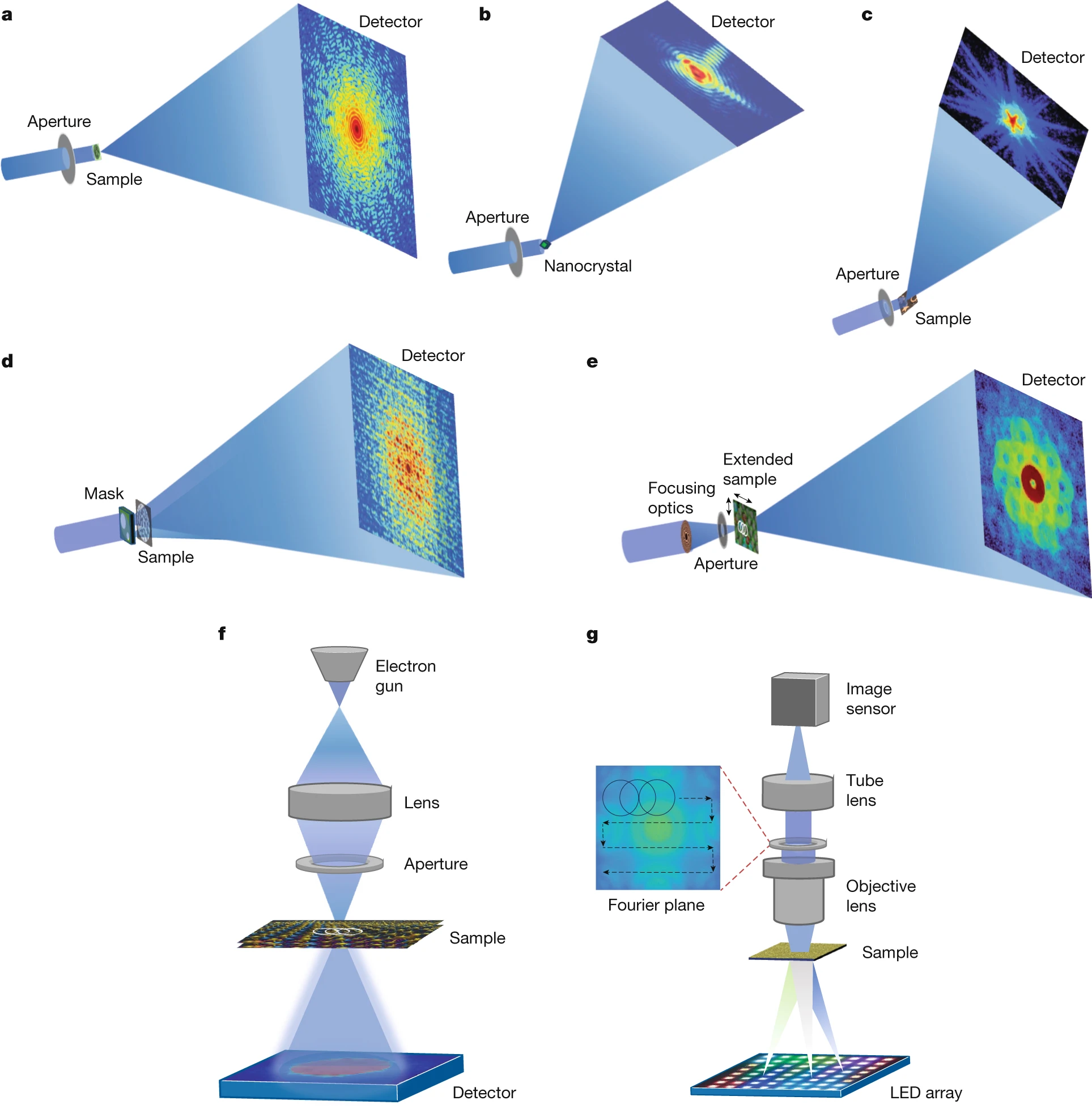 Computational Microscopy